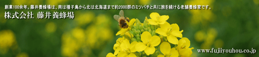 �n��100�N�B����{�I��́A��͎�q������k�͖k�C���܂Ŗ�2000�Q�̃~�c�o�`�Ƌ��ɗ��𑱂���V�ܗ{�I�Ƃł��B