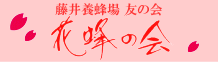 �ԖI�̉�