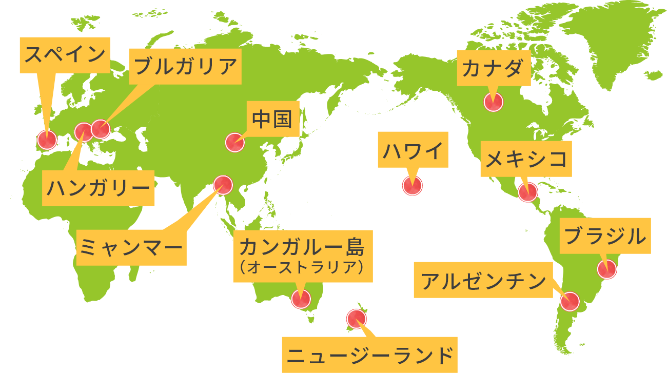 藤井養蜂場の海外養蜂マップ