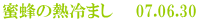 蜜蜂の熱冷まし 07.06.30
