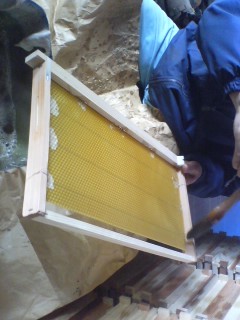 蜜蜂の巣の作り方