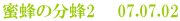 蜜蜂の分蜂2 07.07.02