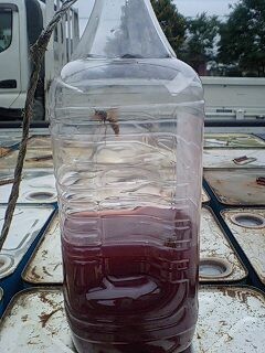 赤蜂特製捕獲器
