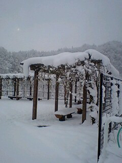 30センチ程積もった雪