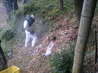 スズメバチ駆除