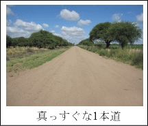 真っすぐな1本道