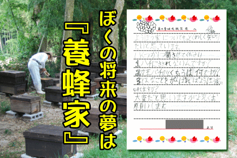 Vol.13 ぼくの将来の夢は『養蜂家』