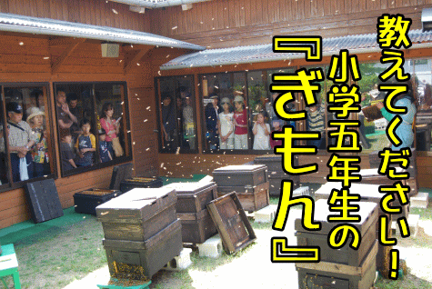 教えてください!小学五年生の『ぎもん』