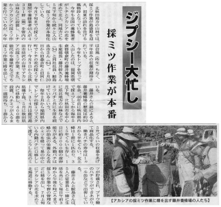縣北新聞