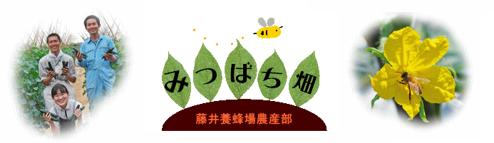 みつばち畑