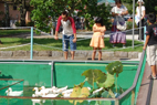 第18回 夏のはちみつ祭り
