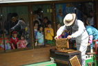採蜜実演