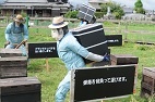 巣箱を背負う力持ちのかかし