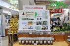 アルゼンチン蜂蜜特設コーナー