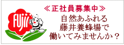 正社員募集中！自然あふれる藤井養蜂場で働いてみませんか？