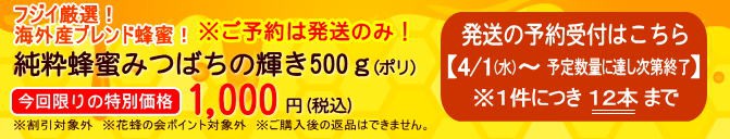 純粋蜂蜜みつばちの輝き